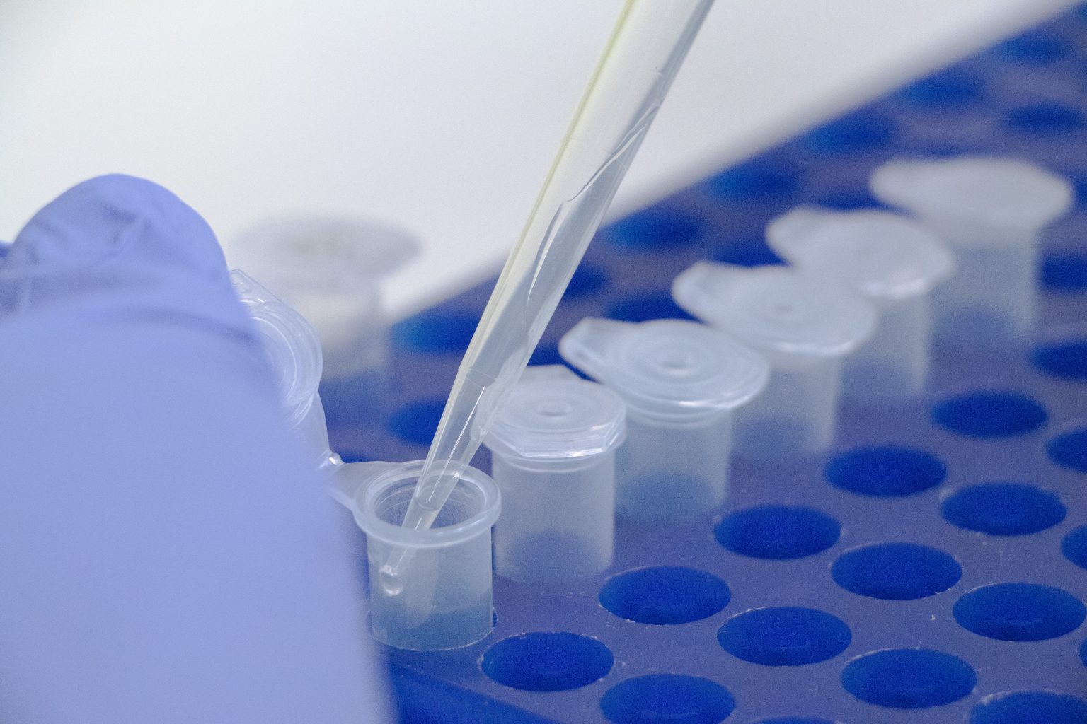 Congratulations to the ImmunoHUB Fellows on Their PhD Fellowships!